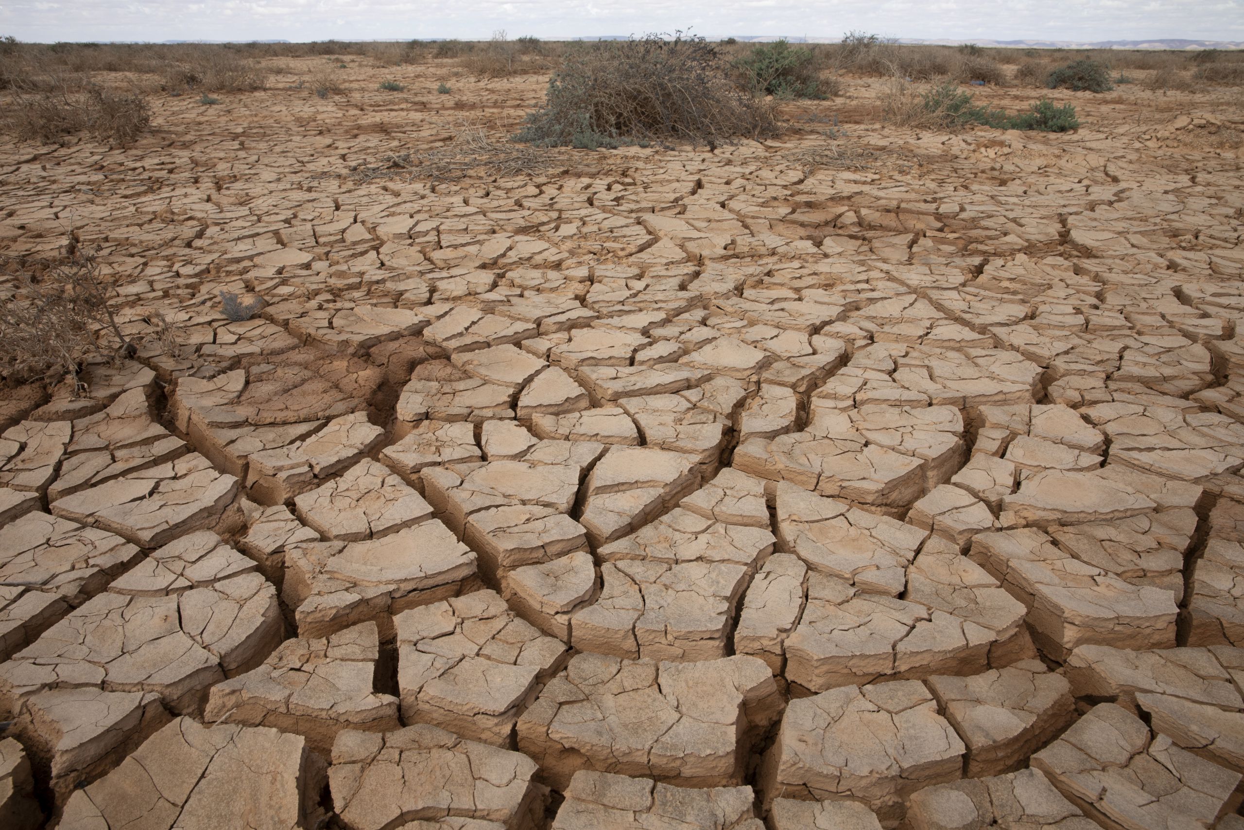 VAINCRE LA SÉCHERESSE : UNE CRISE ÉVITÉE AU SÉNÉGAL